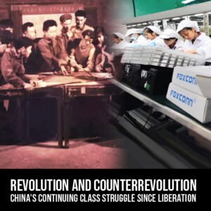 Revolution and Counterrevolution - Pao-yu Ching