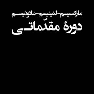 مارکسیسم-لنینیسم-مائوئیسم دورۀ مقدماتی