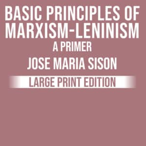 Basic Principles of ML: A Primer "Large Print" – Jose Maria Sison